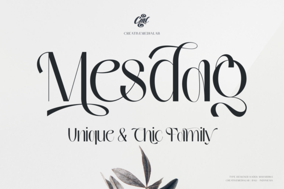Elevating Visual Identity with the Distinctive Charm of Mesdag
