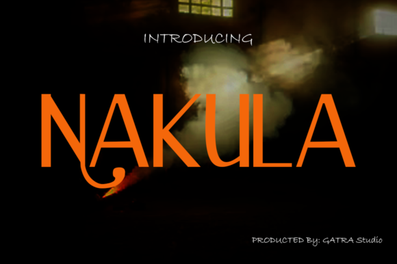 Nakula: The Playful Display Font That Elevates Any Design